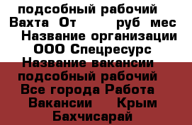 подсобный рабочий . Вахта. От 30 000 руб./мес. › Название организации ­ ООО Спецресурс › Название вакансии ­ подсобный рабочий - Все города Работа » Вакансии   . Крым,Бахчисарай